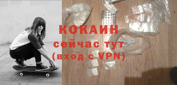 хмурый Дмитриев