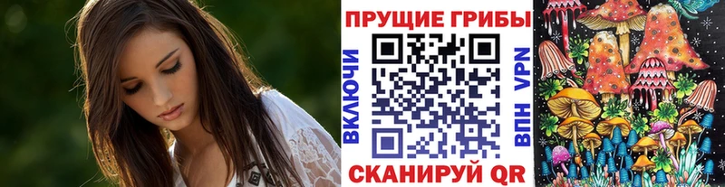 Галлюциногенные грибы Psilocybine cubensis  Соликамск 